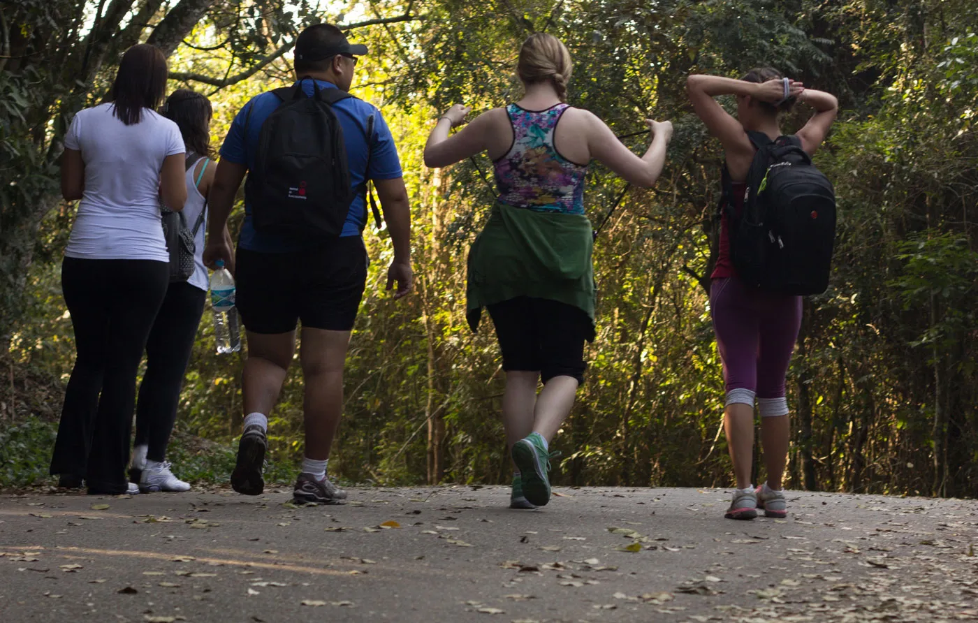 Walkers crossing a meadow in soft daylight